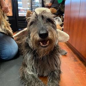 Meet your Posher, Nicki